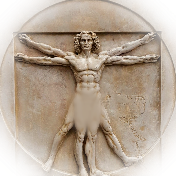 Vitruvian Man — the atelier's mark